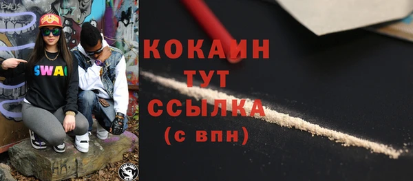 стафф Михайлов