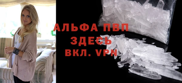 стафф Михайлов