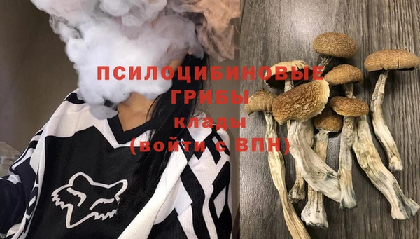 сатива Анива