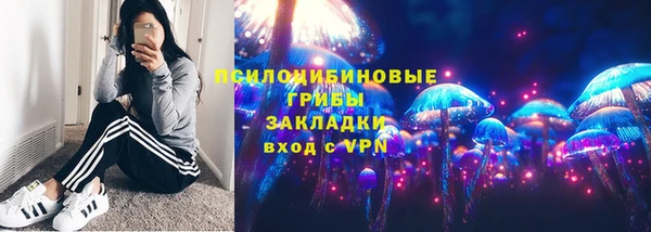 стафф Михайлов