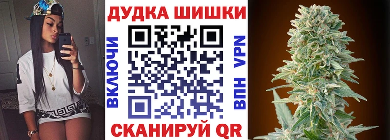как найти закладки Куртамыш МАРИХУАНА SATIVA & INDICA